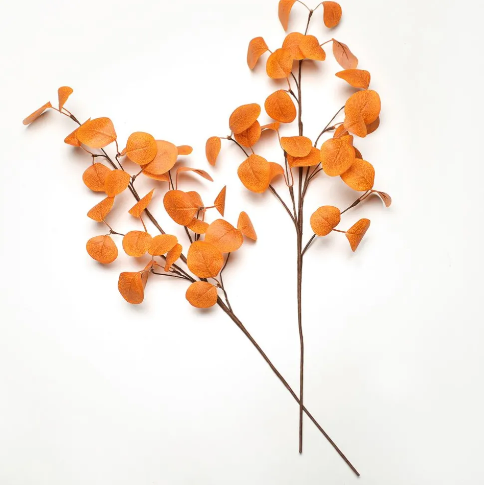 Becquet Branche d'eucalyptus orange – set de 2 pièces